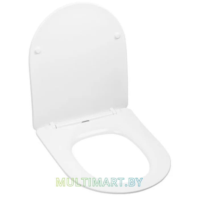 Сиденье для унитаза AV Engineering Art AVWHR204C